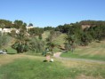 /album/fotogaleria-escuela-de-golf1/dscf0987-jpg/
